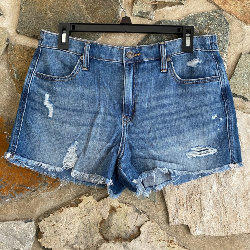 Denim Aerie Shorts